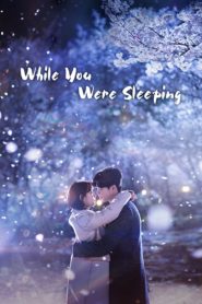 While You Were Sleeping ลิขิตฝันฉันและเธอ: Season 1