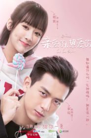 Go Go Squid! (2019) นายเย็นชากับยัยปลาหมึก : Season 1