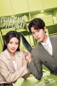 Love Me Like I Do (2023) สะดุดรักมัดใจบอส: Season 1