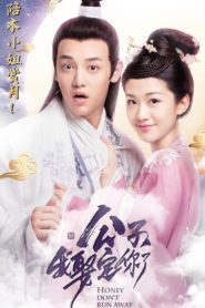 Honey Don’t run away (2020) คุณชายฟ้าประทาน: Season 1