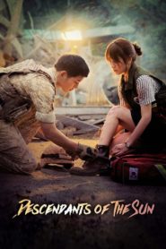 ชีวิตเพื่อชาติ รักนี้เพื่อเธอ (Descendants of the Sun): Season 1