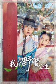 องค์หญิงตัวร้ายกับนายบัณฑิต (My Sassy Girl): Season 1