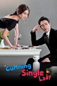 Cunning Single Lady เล่ห์รักยัยตัวร้าย: Season 1