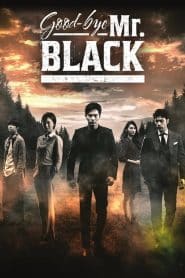 Goodbye Mr. Black (2016): Season 1