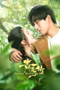 Prodigy Healer (2019) หมออัจฉริยะ 