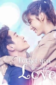 Forget You Remember Love (2020) : Season 1