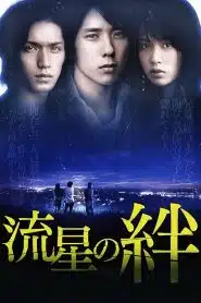 Ryusei no Kizuna (2008) สายสัมพันธ์แห่งดาวตก