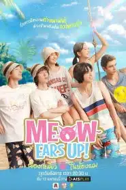 Meow Ears Up น้องเหมียวในห้องผม